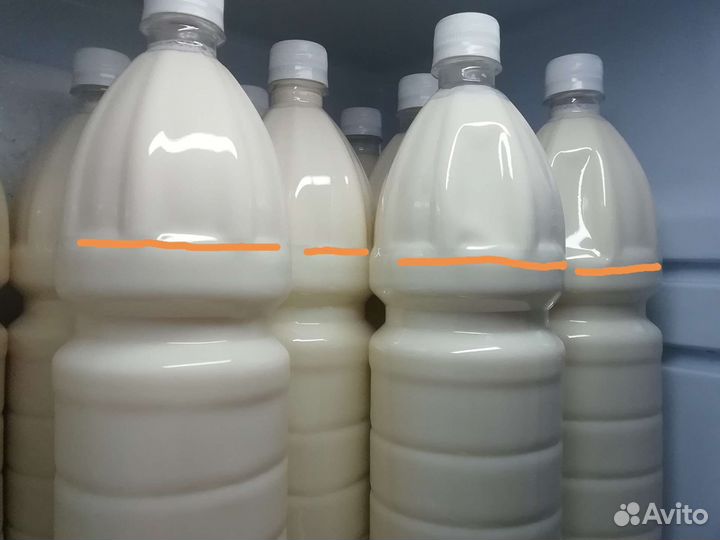 Молоко коровье, творог, сливки