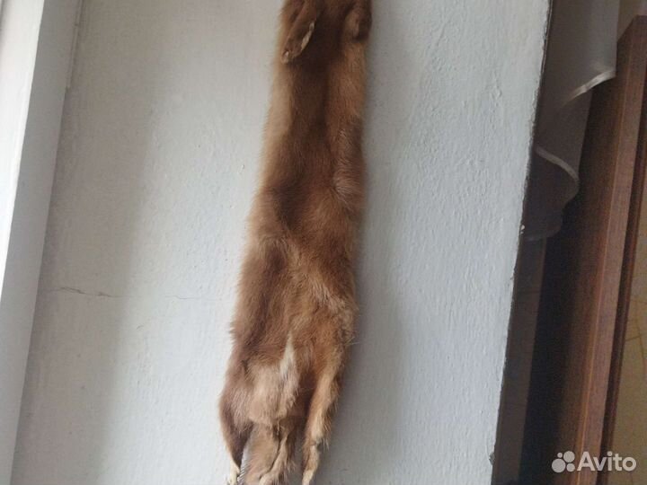 Чулок норки