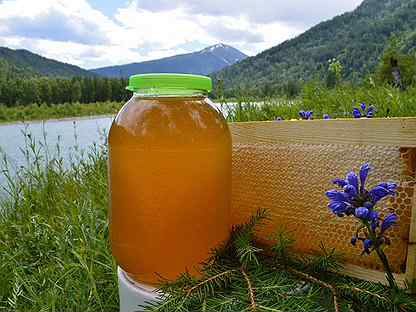 Мед первозданный Алтайского высокогорья