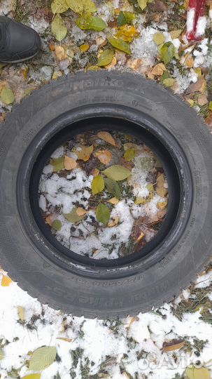 Hankook Winter I'Pike RS2 W429 175/65 R14 T