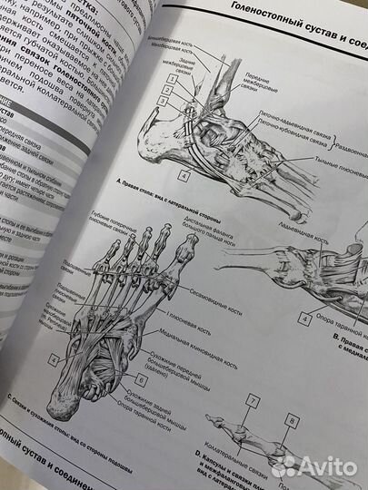 Книги карты атласы