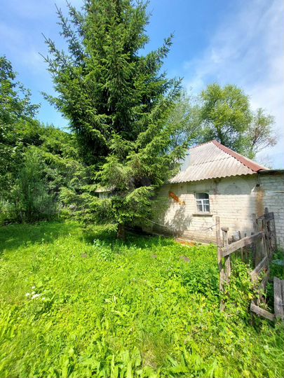 Дом 53 м² на участке 50 сот.