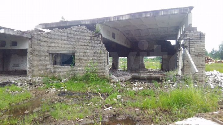 Участок 65 сот. (СНТ, ДНП)