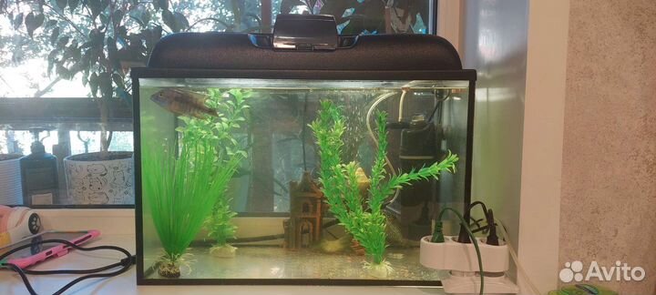 Аквариум на 60л с фильтром