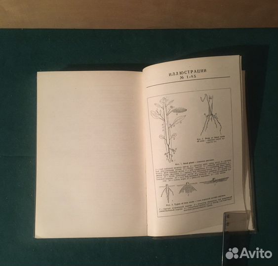 Англо-русский сельскохозяйственный словарь