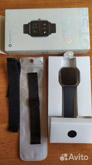 Amazfit gts 2 mini
