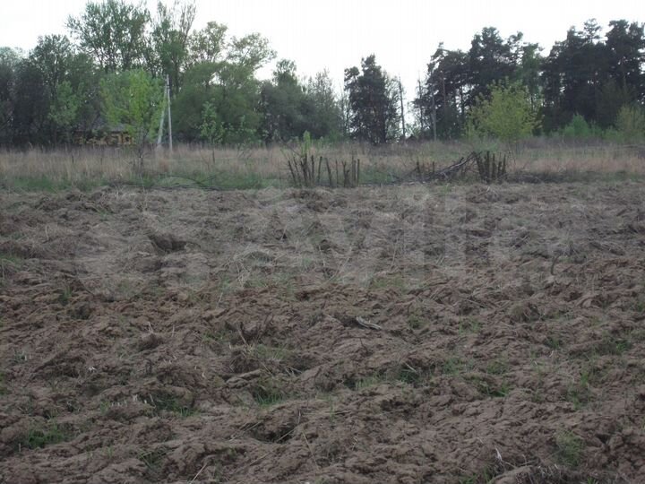 Участок 30 сот. (ИЖС)