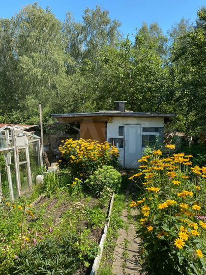 Дача 29 м² на участке 6 сот.