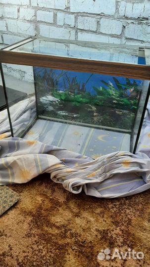 Аквариум