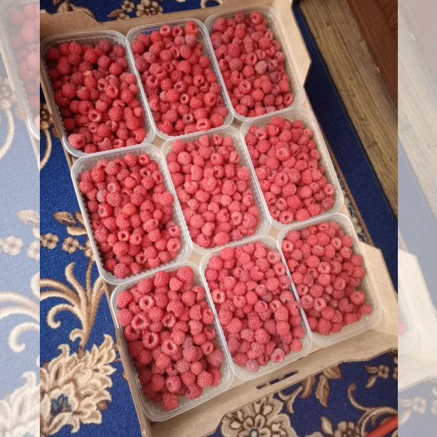 Малина свежая