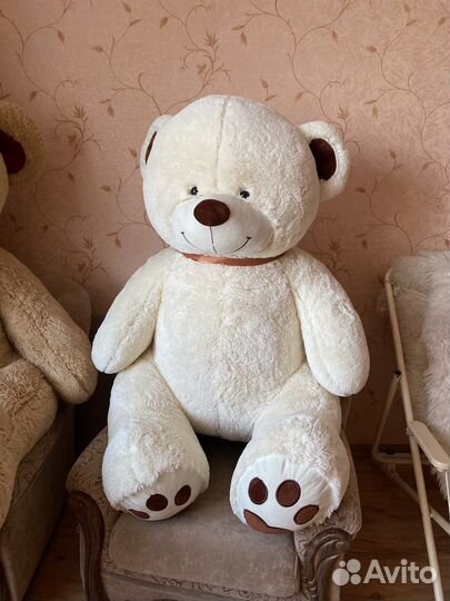 Медведь белый