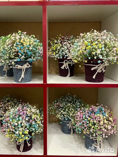 Гипсофила живые цветы подарок композиции