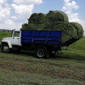 Сено люцерны и солома в рулонах