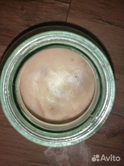 Чайный гриб Комбуча