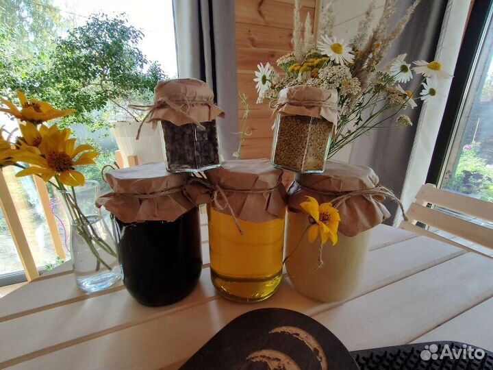 Мёд Алтайский пыльца прополис перга 2023 Нгнск