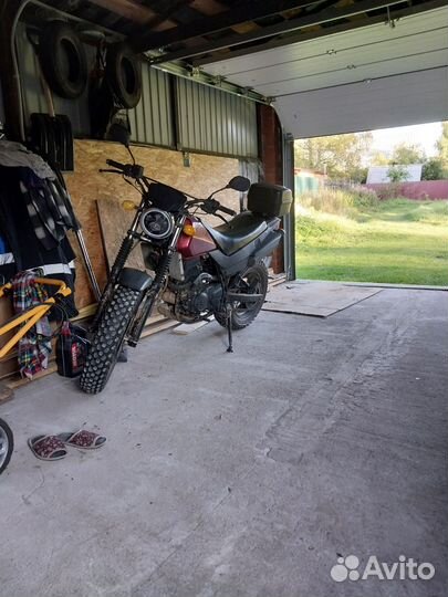 Stels Десна Фантом