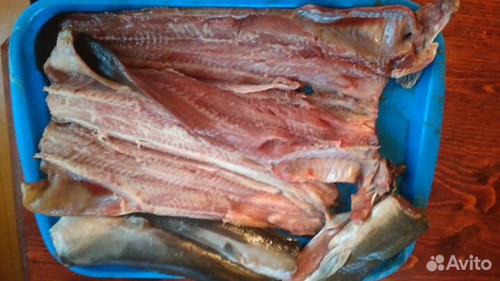 Свежая рыба, кларий угревидный