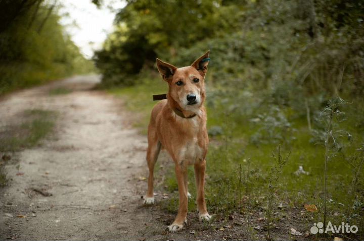 Парень сидит в приюте