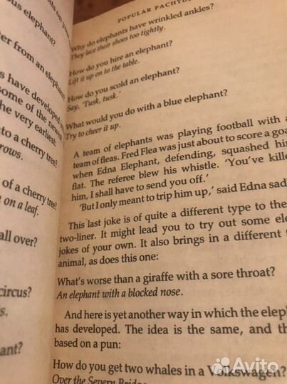 Summer Sizzlers” and “Joke Box”