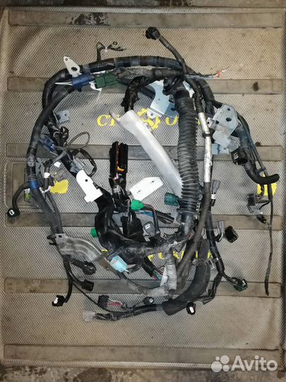 Проводка двигателя Nissan Fuga Y50 2004