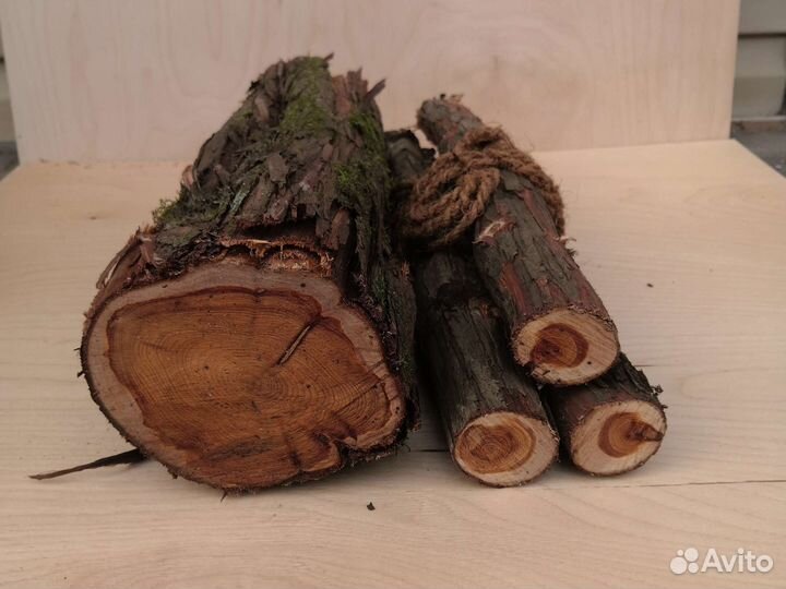 Можжевельник ствол дерева 40 х 12 см