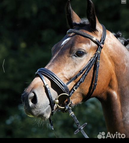 Уздечка Kieffer