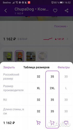 Продам костюм на девочку мини той-терьера