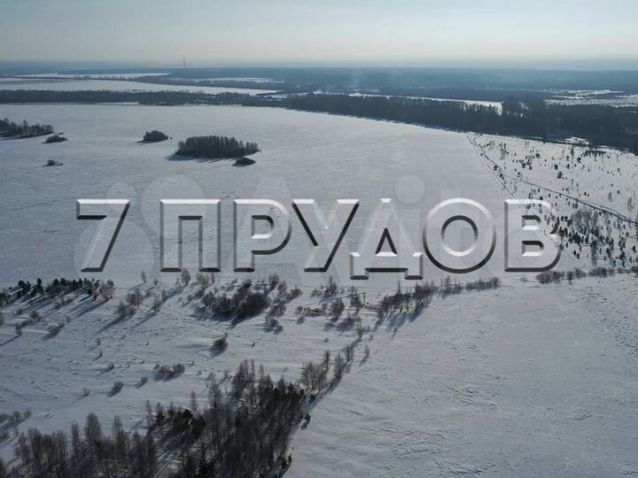 Участок 81,19 га (промназначения)