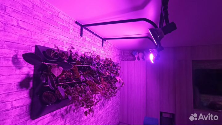 Фитолампа для рассады Е27 100Вт