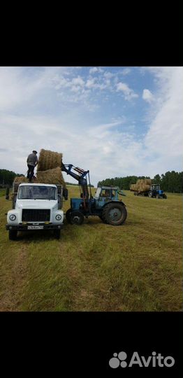 Корм для животных