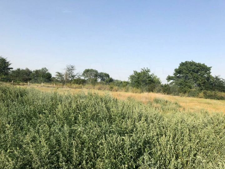 Участок 12 сот. (ИЖС)