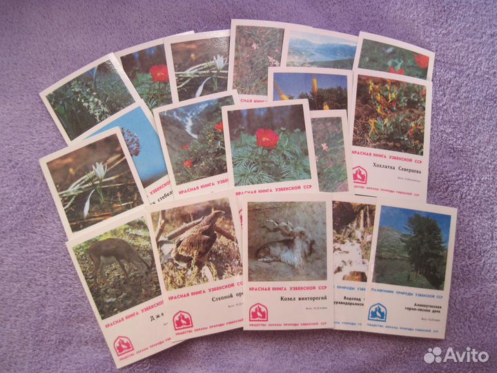 Календари природа, птицы, растения, Красная книга