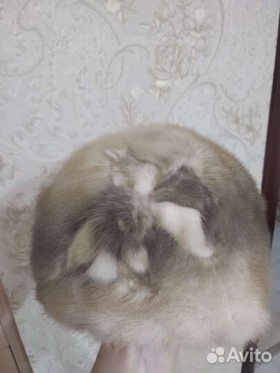 Женская норковая шапка