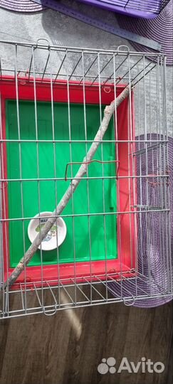 Клетка для грызунов и попугаев