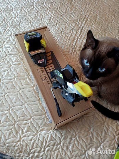 Горные лыжи К2 80Ti