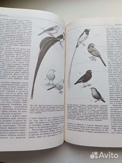 Птицы книга