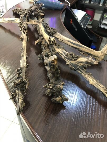 Коряги для аквариума