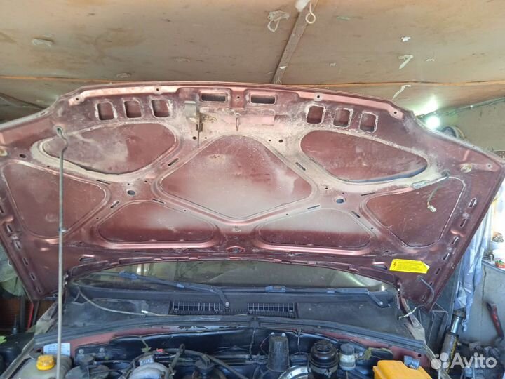 Капот и задняя дверь шевинива