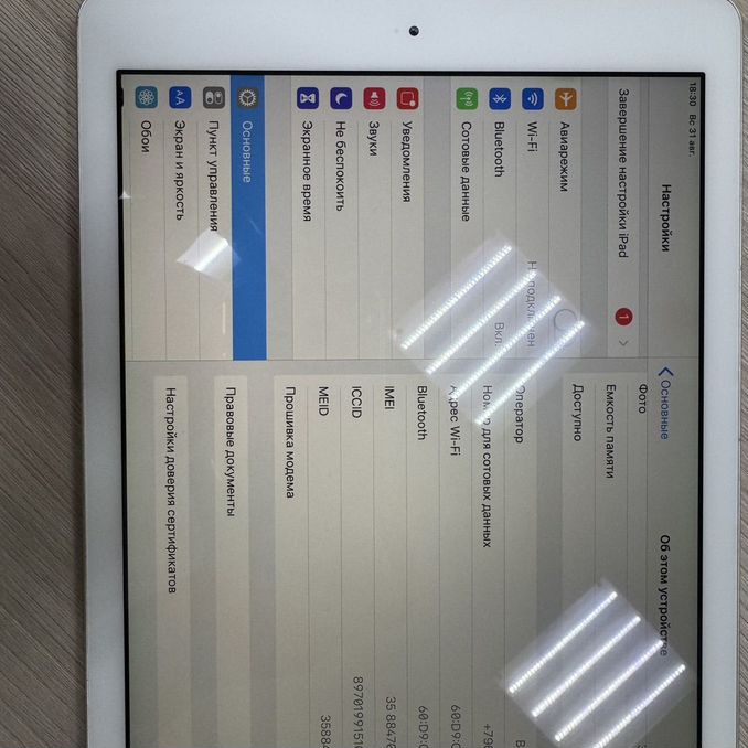 Сорылған киска бейнелері