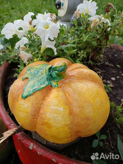 Тыква декоративная