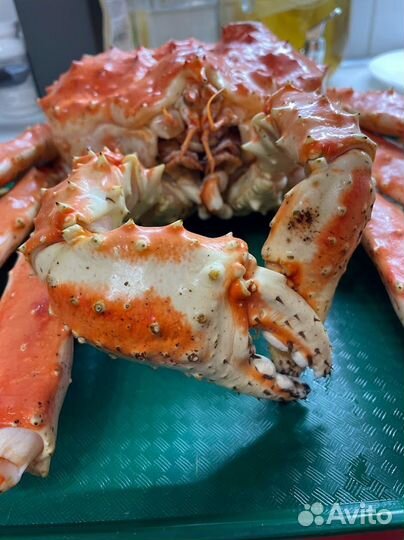 Краб Камчатский 
