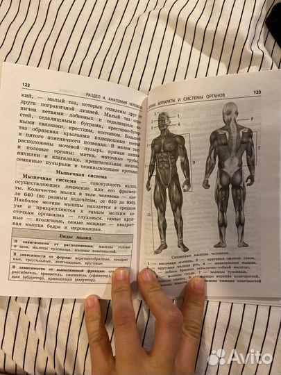 Огэ. Биология. Блицподготовка. Схемы и таблицы