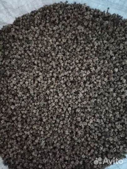 Семена кормовой свеклы