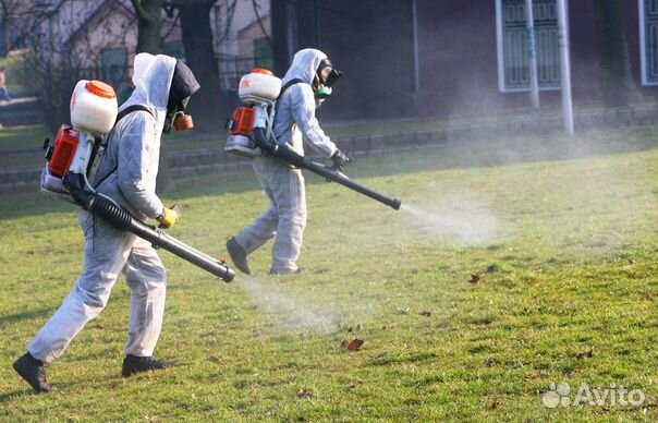 Обработка от комаров клещей короеда пауков кротов