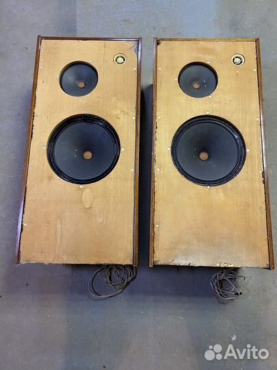 Акустика колонки симфония 003