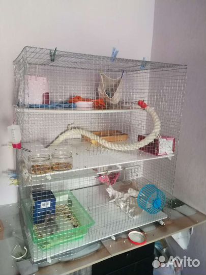Клетка самодельная для грызунов