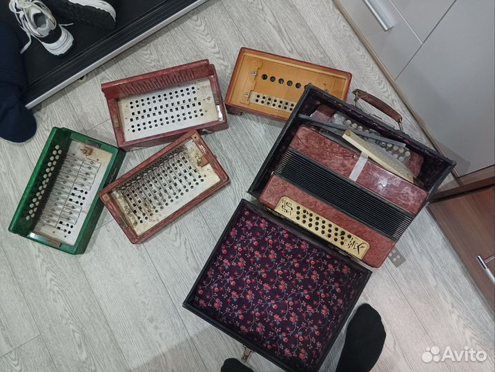 Гармонь чайка 2