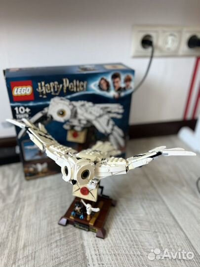 Конструктор lego Harry Potter 75979 Букля