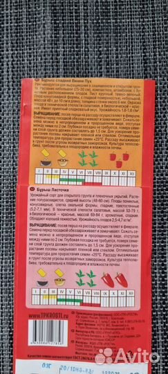 Перец сладкий рассада