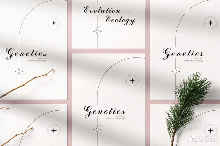 Графический дизайнер